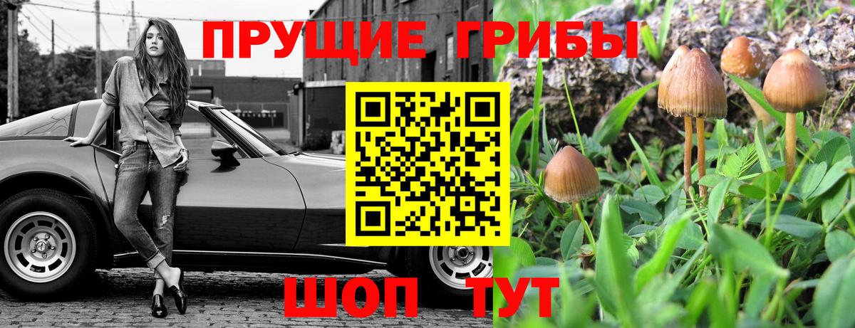 Галлюциногенные грибы Magic Shrooms  Вход с VPN  Псилоцибиновые грибы Psilocybe  Баксан 