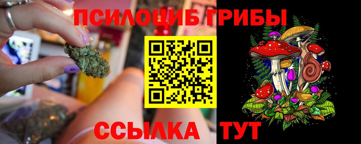 Галлюциногенные грибы прущие грибы Баксан